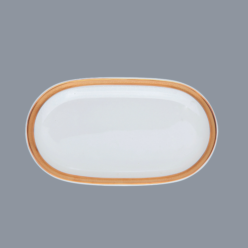 Casual Style White Fine Bone china Dinnerware With Gloden Decal Rim - TD04-5