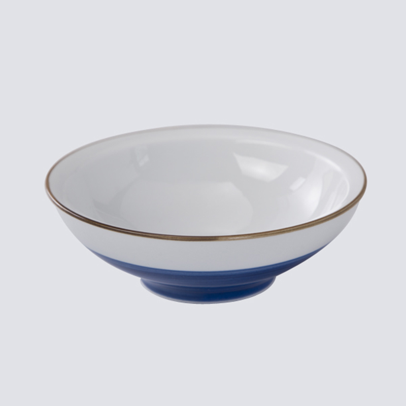 colorful cool restaurant plates bone directly sale for dinner-16