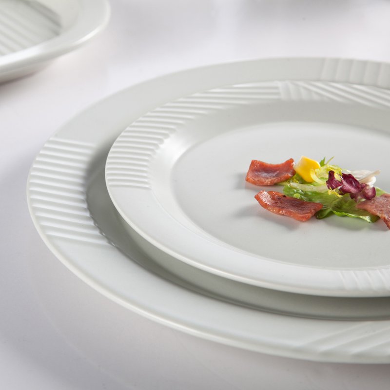 Embossed Modern Style Hotel & Restaurant Color Porcelain Dinner Set - TC13