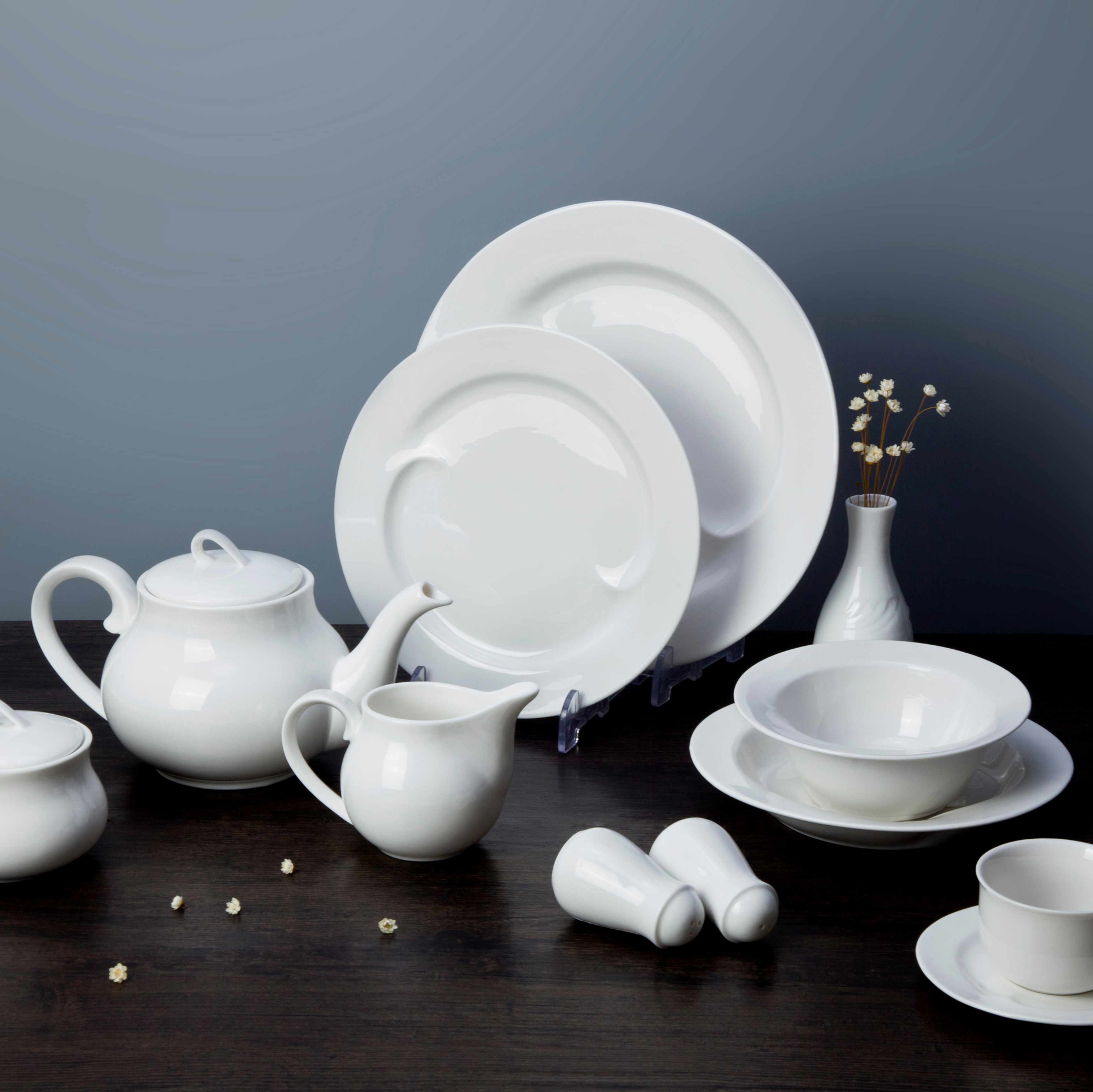 10 piece restaurant white ceramic dinnerware set - TW22