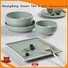 Two Eight colored restaurant porcelain dinnerware customized for hotel