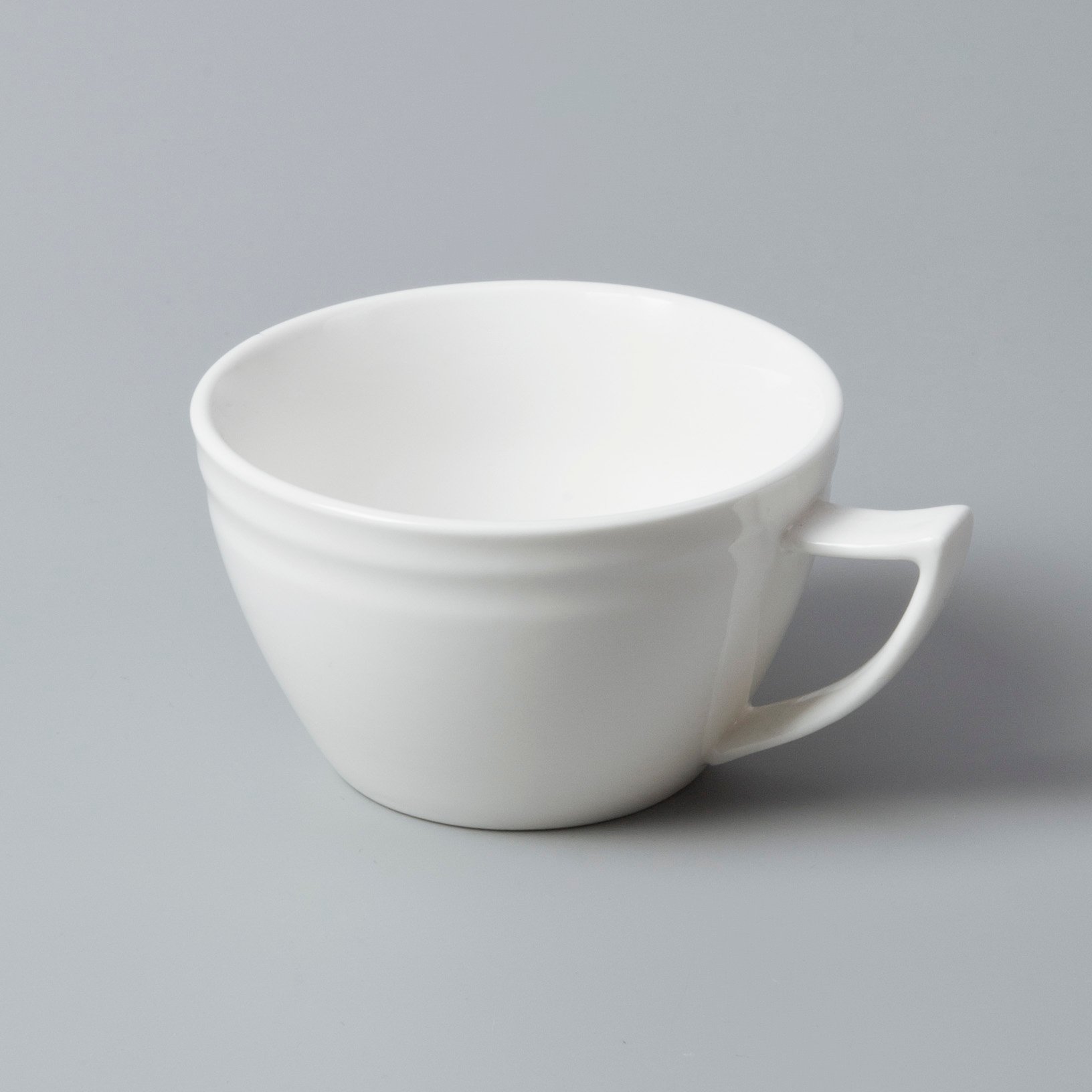 casual everyday porcelain German style from China for hotel-10